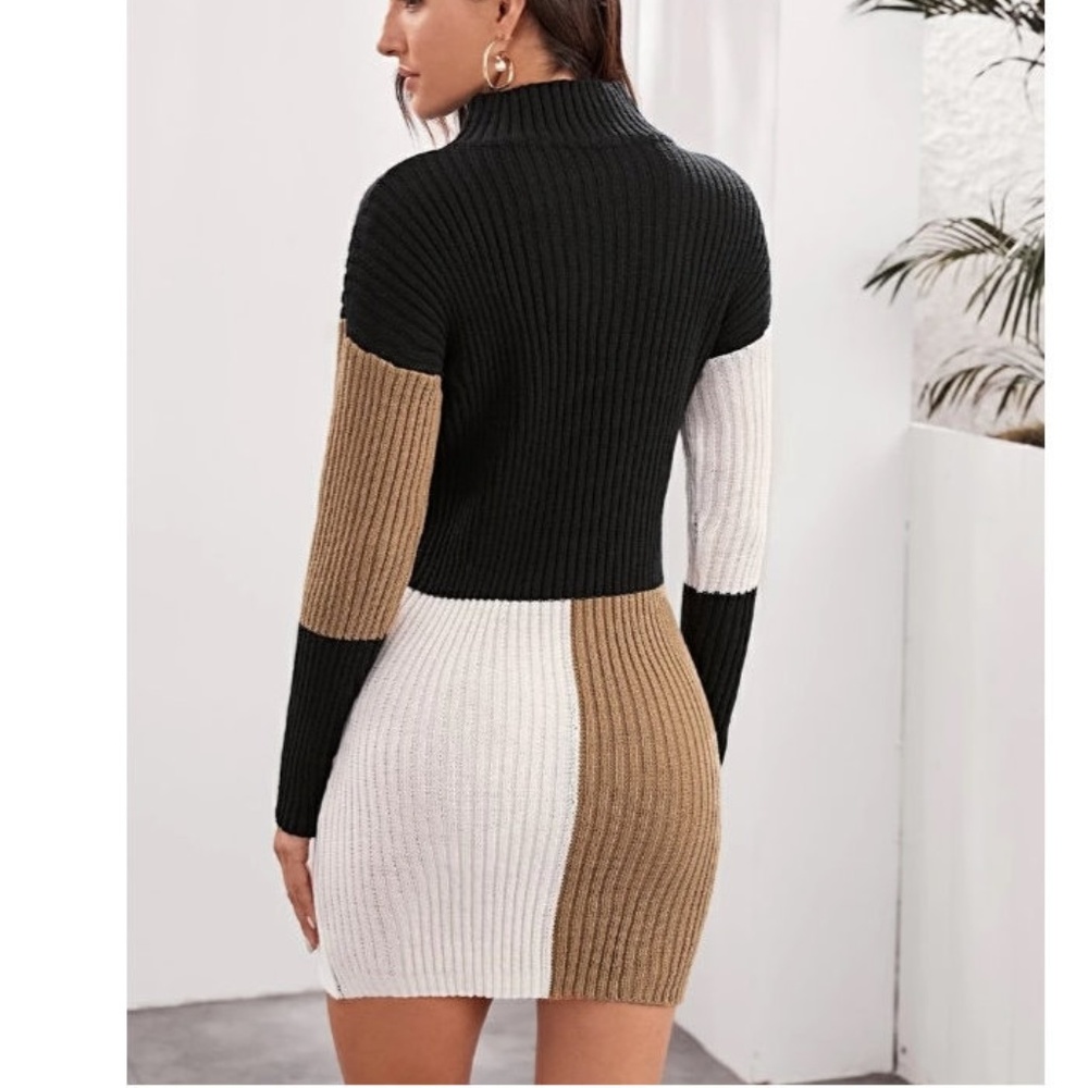 Colorblock Ribbed Sweater Mini Dress - Picture 4 of 6